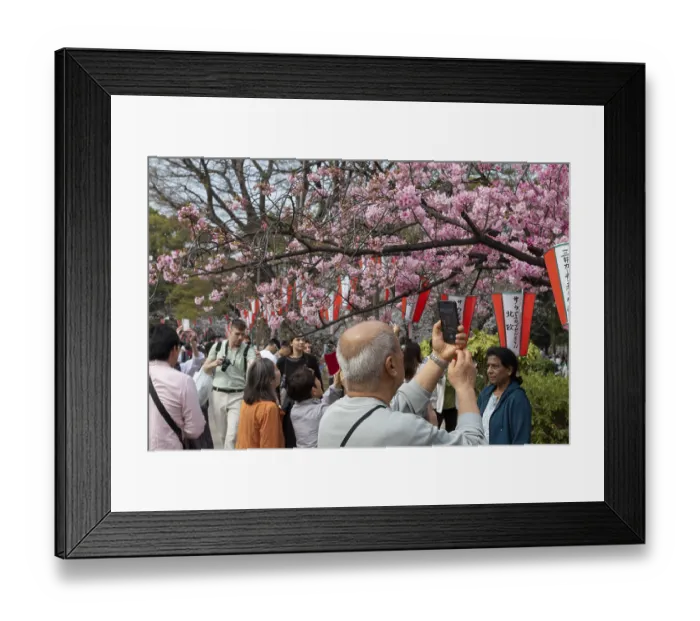 Framed Print : Sightseeing, tourist attraction