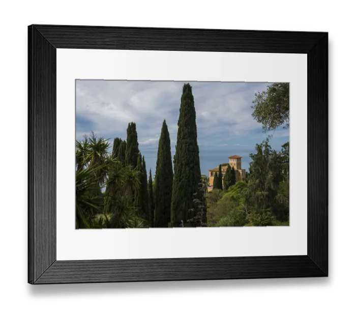 Framed Print : Botanical Garden, Giardino Hanbury
