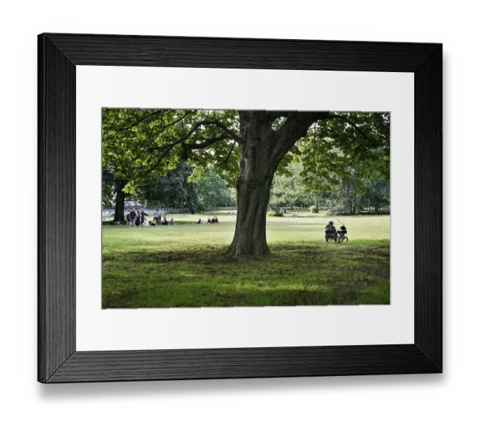 Framed Print : Group of people meeting in Kleistpark in summer weather