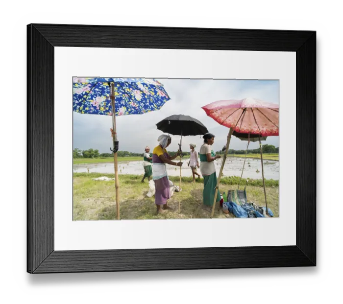 Framed Print : BAKSA, INDIA- JULY 12