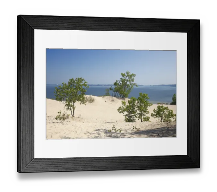 Framed Print : Dunes at Sandbanks Provincial Park