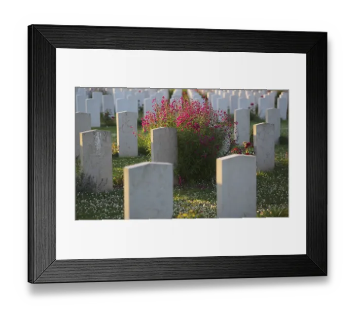 Framed Print : Gravestones, war graves, soldiers graves Framed Print : Gravestones, war graves, soldiers graves