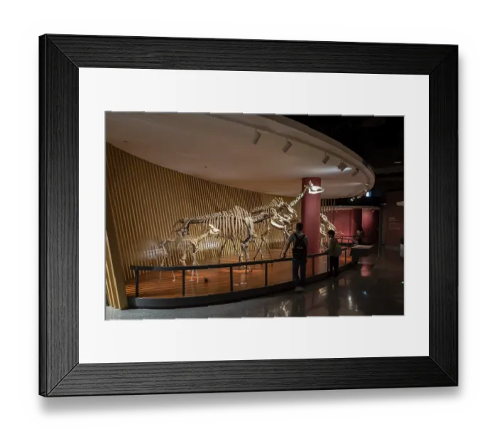 Framed Print : Exhibition, Exhibition rooms, Shanghai natural history museum