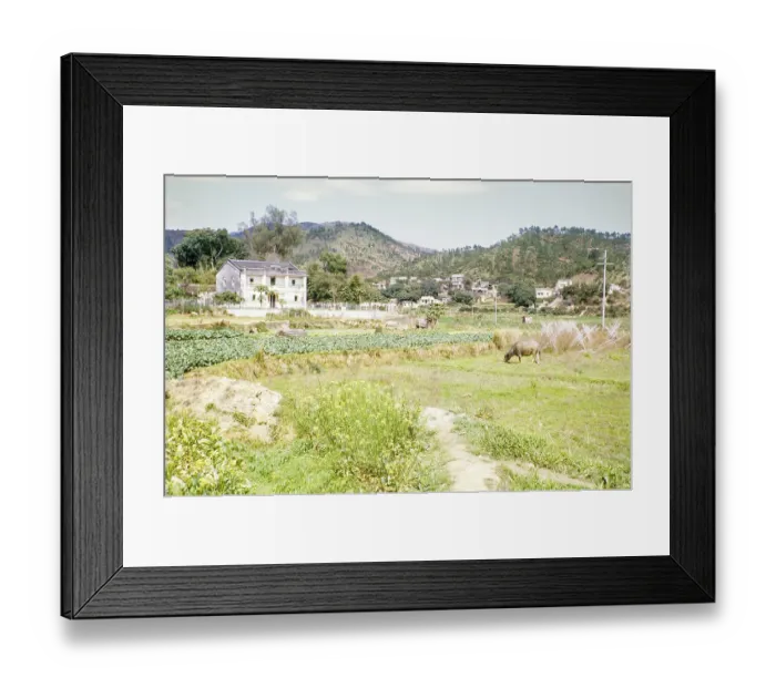 Framed Print : Farmland agriculture mixed use Tai Po