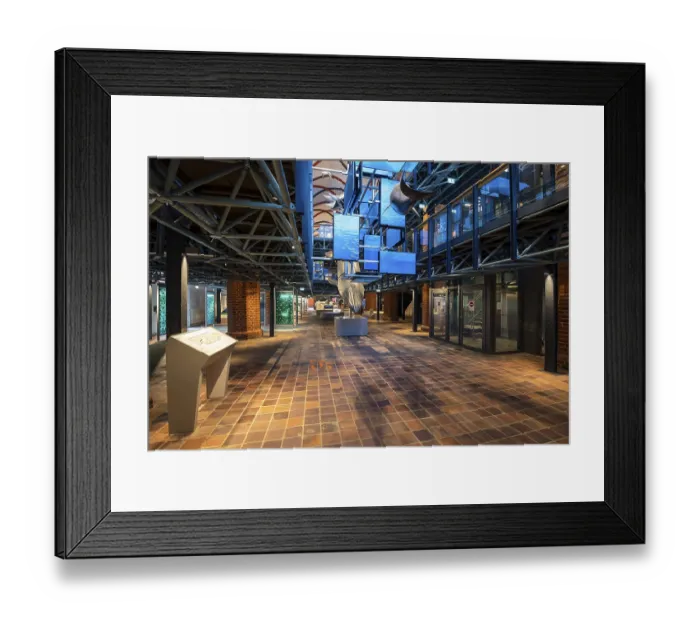 Framed Print : Exhibition, Exhibition room, German Oceanographic Museum
