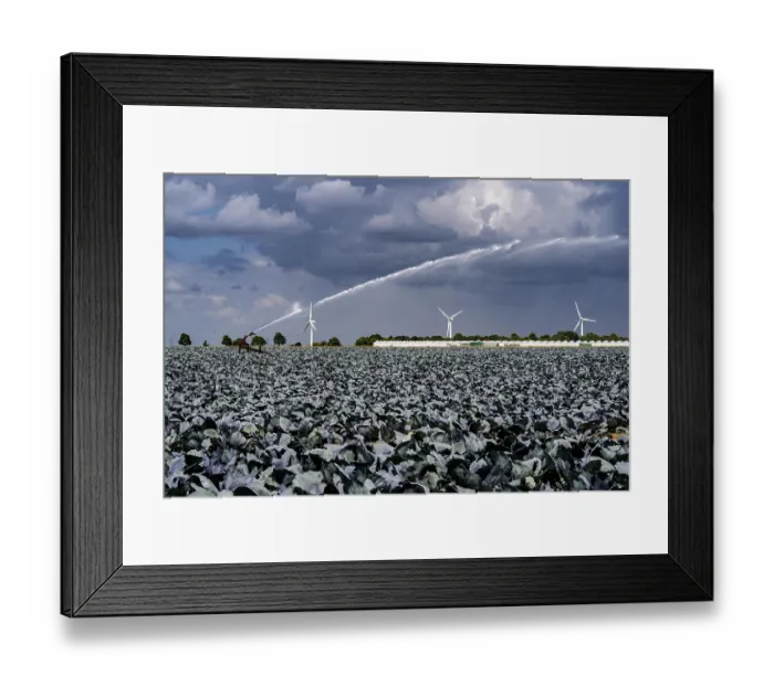 Framed Print : Agriculture, artificial irrigation of a field