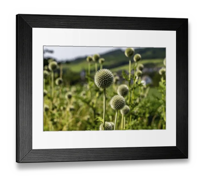 Framed Print : Landscape along the Sauerlandring cycle path Framed Print : Landscape along the Sauerlandring cycle path