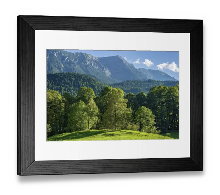 Framed Print : Hill with trees, natural landscape in the park of Linderhof Castle