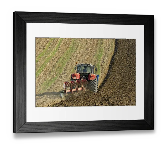 Framed Print : Harvested grain field being turned into a field by Steyr tractor with plough