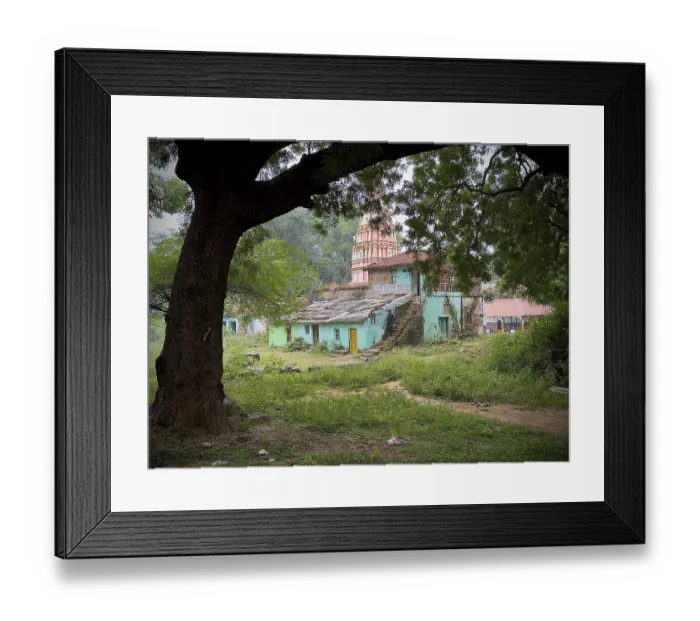 Framed Print : Ancient temple framed by large trees and nature Framed Print : Ancient temple framed by large trees and nature