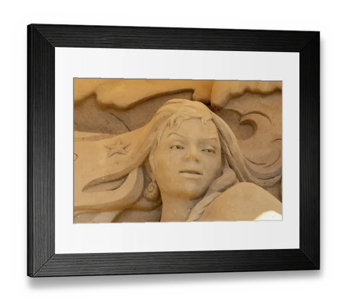 Framed Print : Detail, The Mysterious Mermaid by Artem Samoylov and Arsentiy Samoylov from Ukraine