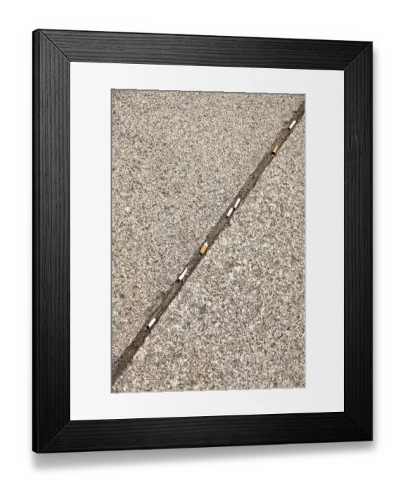 Framed Print : Discarded cigarette butts, footpath, Germany Framed Print : Discarded cigarette butts, footpath, Germany