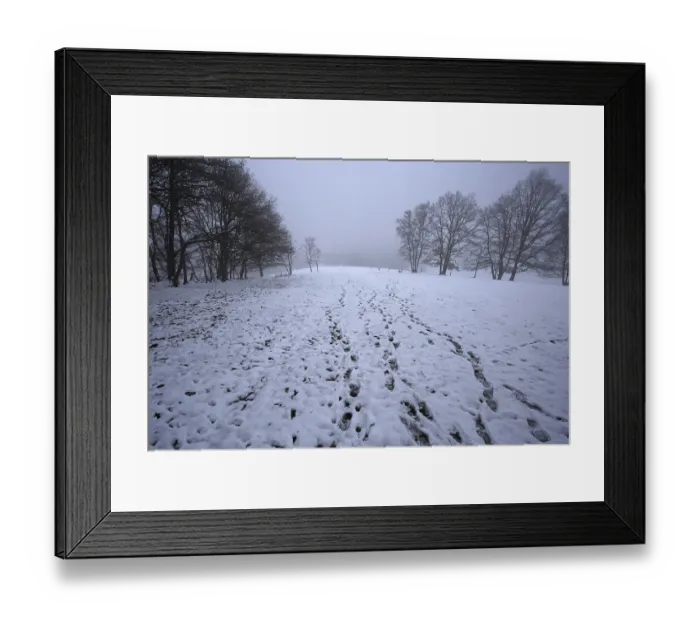 Framed Print : Snow-covered path through a field in a wooded winter area Framed Print : Snow-covered path through a field in a wooded winter area
