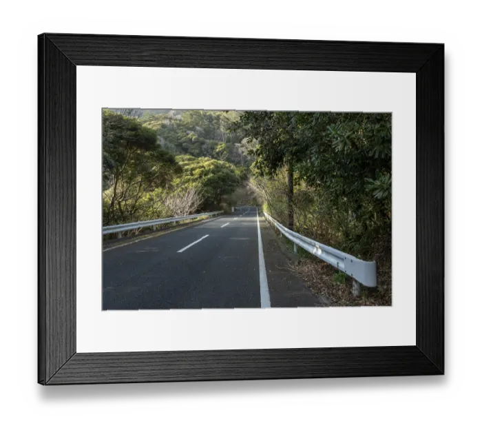 Framed Print : Guardrail and tarmac road through green vegetation and mountain landscape in the evening light