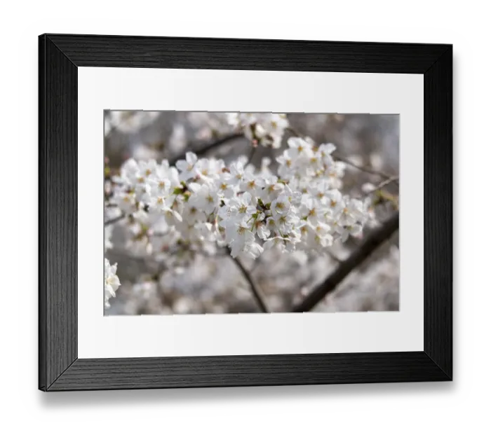 Framed Print : Sightseeing, tourist attraction Framed Print : Sightseeing, tourist attraction
