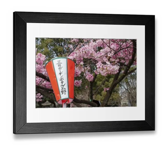 Framed Print : Sightseeing, tourist attraction