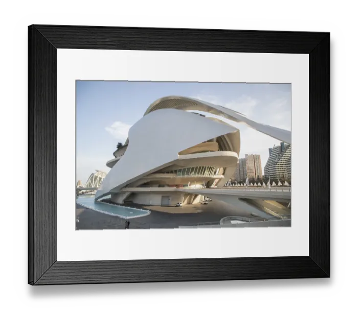 Framed Print : Valencia Spain Opera Palau de les Arts Reina Sofia