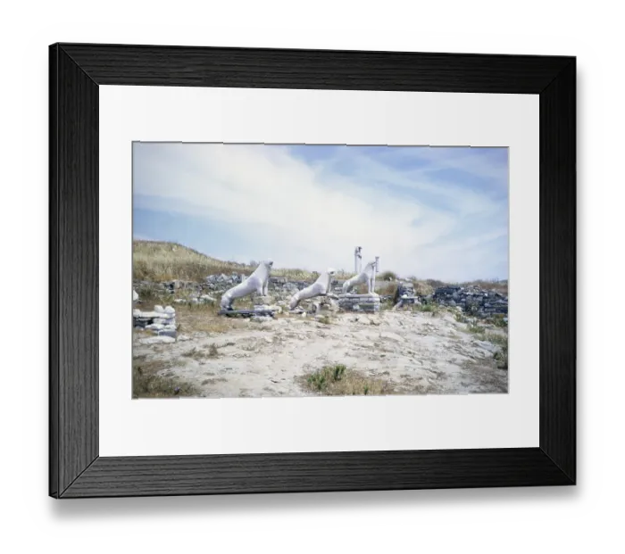 Framed Print : Stone statues of lions, Terrace of the Lions archaeological site Framed Print : Stone statues of lions, Terrace of the Lions archaeological site