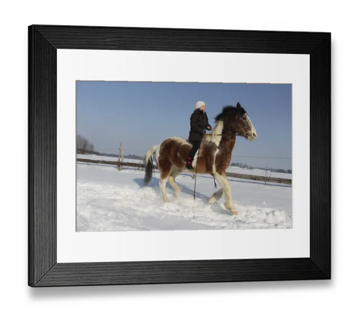 Framed Print : Girl riding a Crilollo gelding bareback in the snow Framed Print : Girl riding a Crilollo gelding bareback in the snow