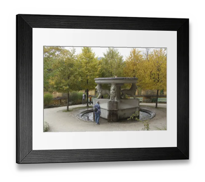 Framed Print : Lion fountain in the inner courtyard of Hohenschwangau Castle near Fussen Framed Print : Lion fountain in the inner courtyard of Hohenschwangau Castle near Fussen