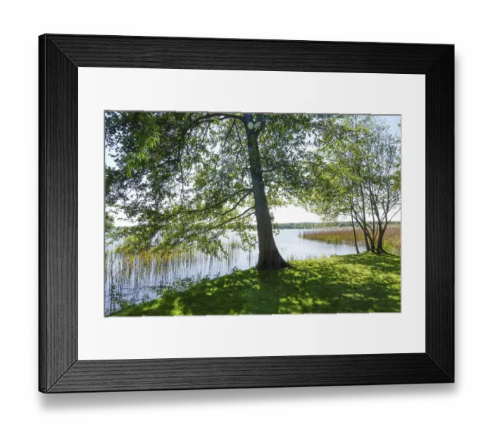 Framed Print : Spa garden, Scharmutzelsee