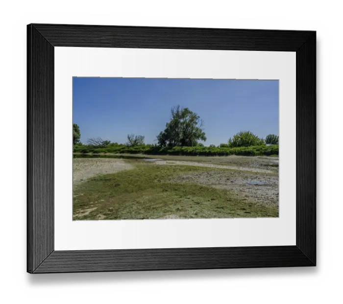 Framed Print : Wide riverbank with lush vegetation and scattered trees