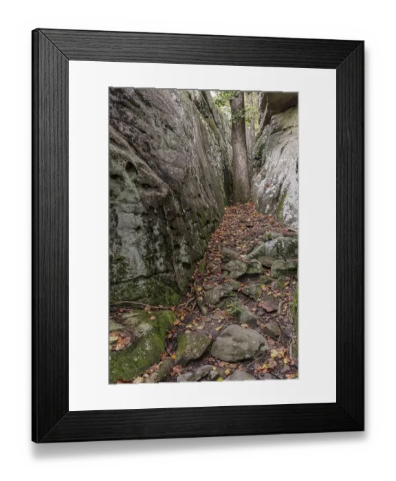 Framed Print : Tree growing between rock outcroppings at Cheyene Rock Village park near Leesburg