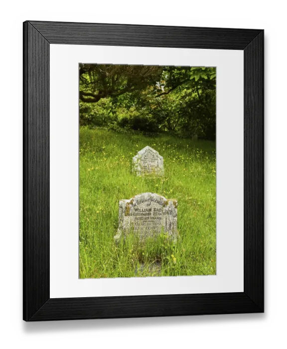 Framed Print : Old gravestones amidst a dense green lawn in a tranquil setting Framed Print : Old gravestones amidst a dense green lawn in a tranquil setting