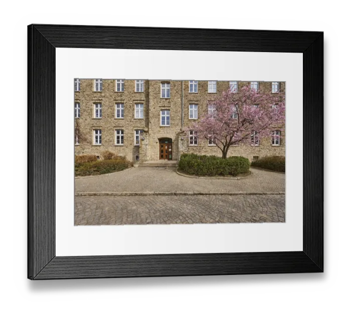 Framed Print : Tax office, sandstone building