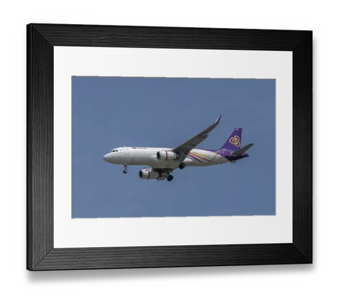 Framed Print : Aircraft Thai Airways, HS-TXN, Airbus A320-200 Framed Print : Aircraft Thai Airways, HS-TXN, Airbus A320-200