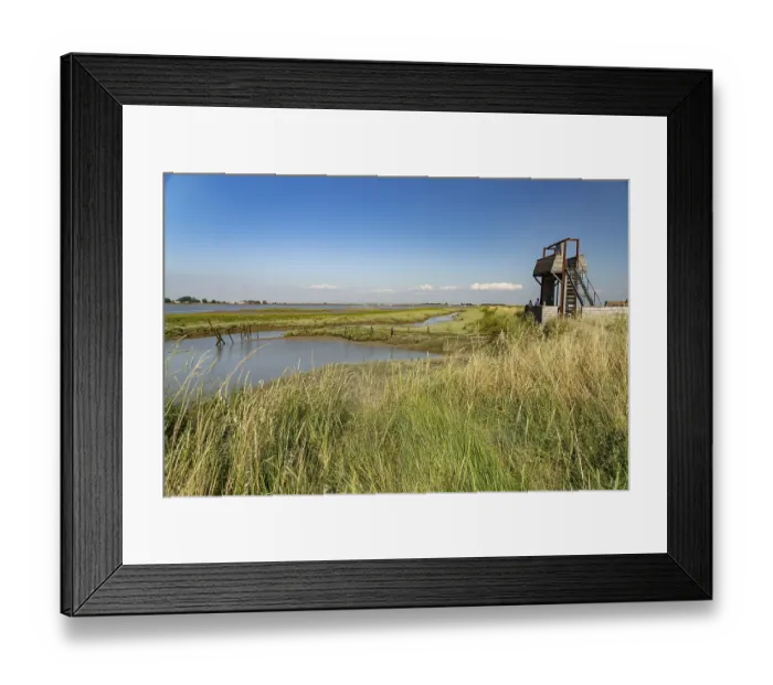 Framed Print : Pointe d'Arcay Nature Reserve in L'Aiguillon-la-Presqu'ile