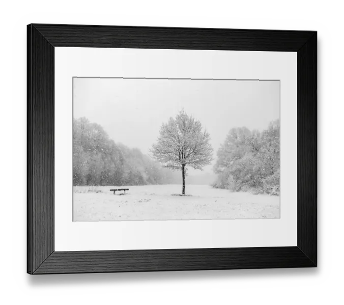 Framed Print : Bench next to a tree, idyll at the onset of winter on the outskirts of Meerbusch Framed Print : Bench next to a tree, idyll at the onset of winter on the outskirts of Meerbusch