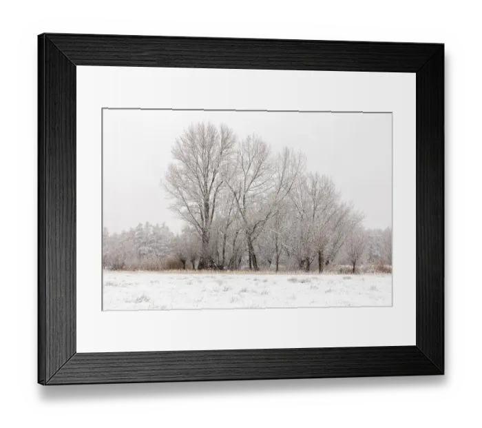 Framed Print : Winter landscape on the Lower Rhine Framed Print : Winter landscape on the Lower Rhine