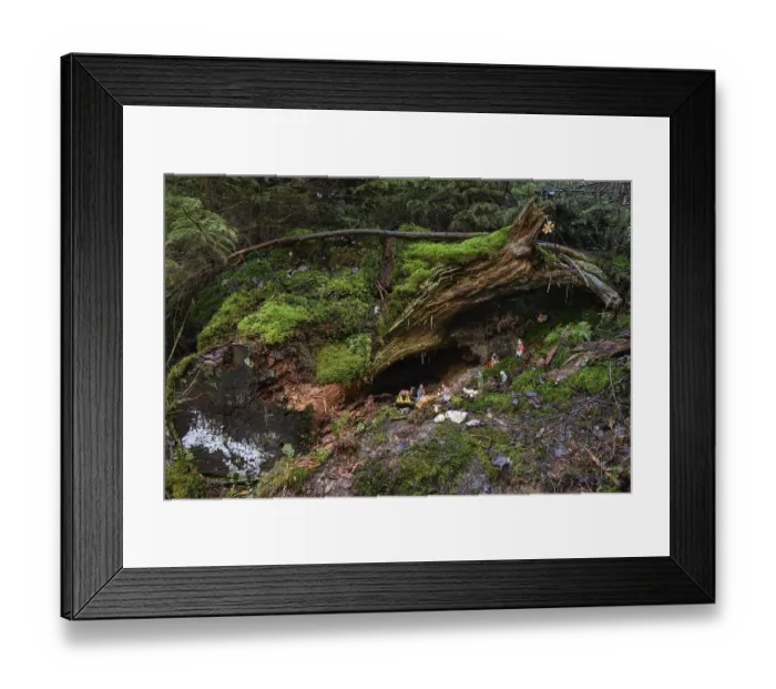 Framed Print : Mysterious cot, Christmas cot in natural surroundings Framed Print : Mysterious cot, Christmas cot in natural surroundings