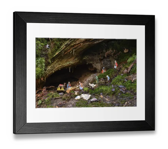 Framed Print : Mysterious cot, Christmas cot in natural surroundings