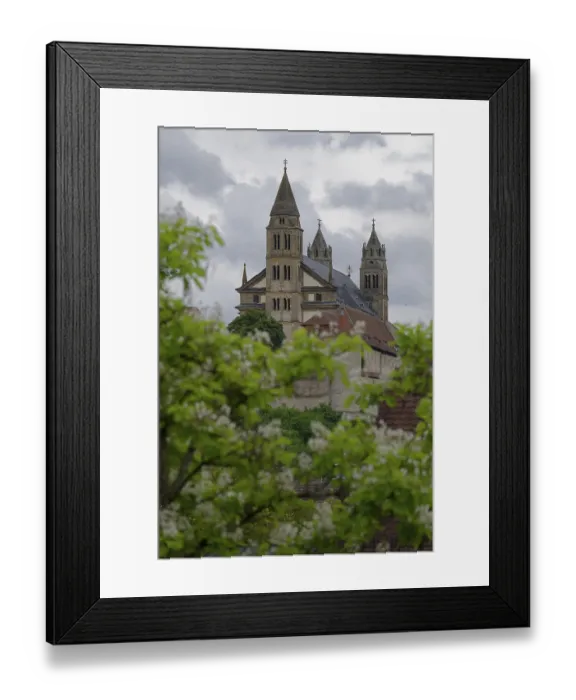 Framed Print : Southern Catalpa (Catalpa bignonioides)