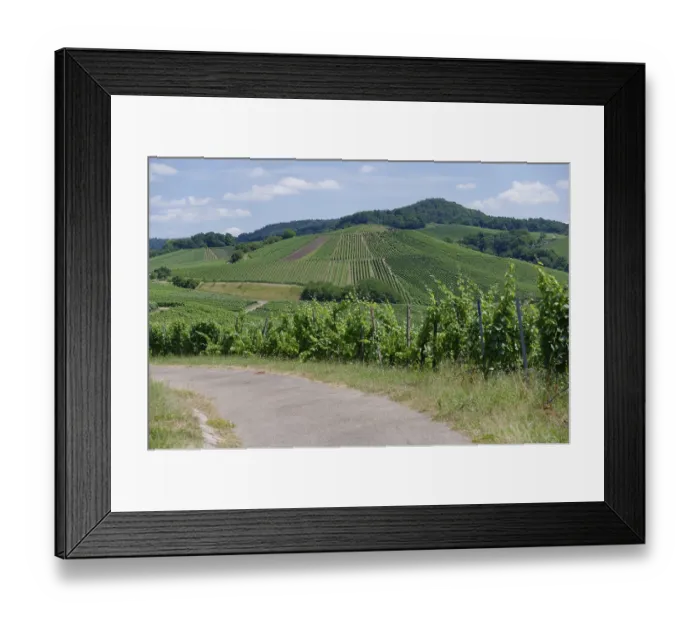 Framed Print : View of the vineyards near Michelbach am Wald