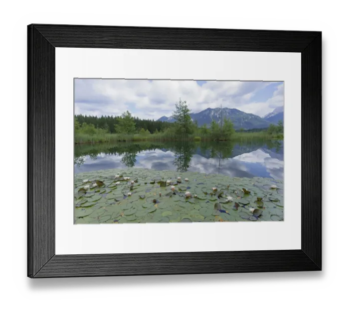 Framed Print : Barmsee near Krun, bathing
