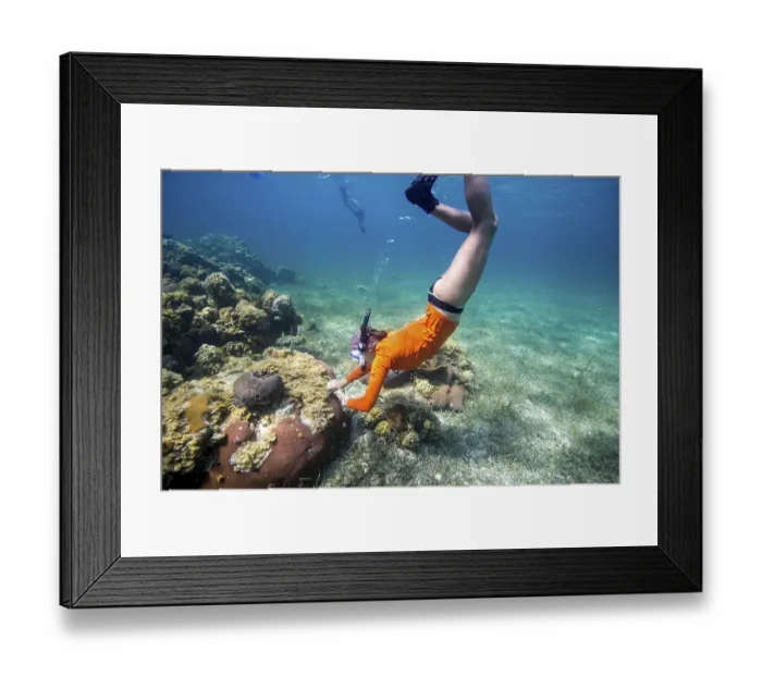 Framed Print : A snorkeler exploring a coral reef under clear blue water