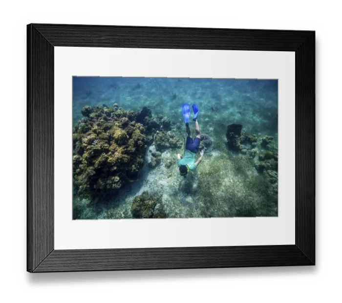 Framed Print : Spearfishing for Lionfish, Lionfish (Pterois volitans)