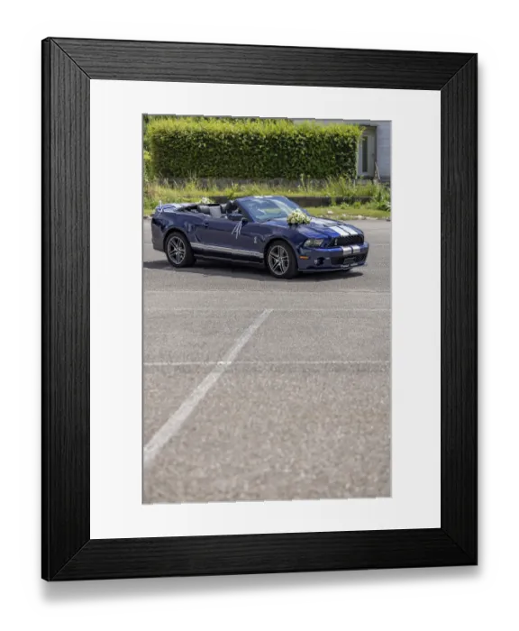 Framed Print : Decorated wedding car, Ford Mustang Shelby GT500