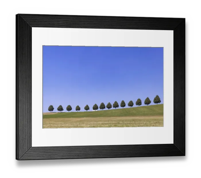 Framed Print : Landscape near Waldenbuch. Tree avenue with blue sky in summer