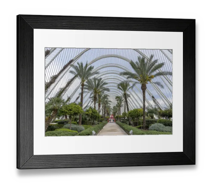 Framed Print : A cultural multifunctional building El Umbracle with semicircular roof construction Framed Print : A cultural multifunctional building El Umbracle with semicircular roof construction