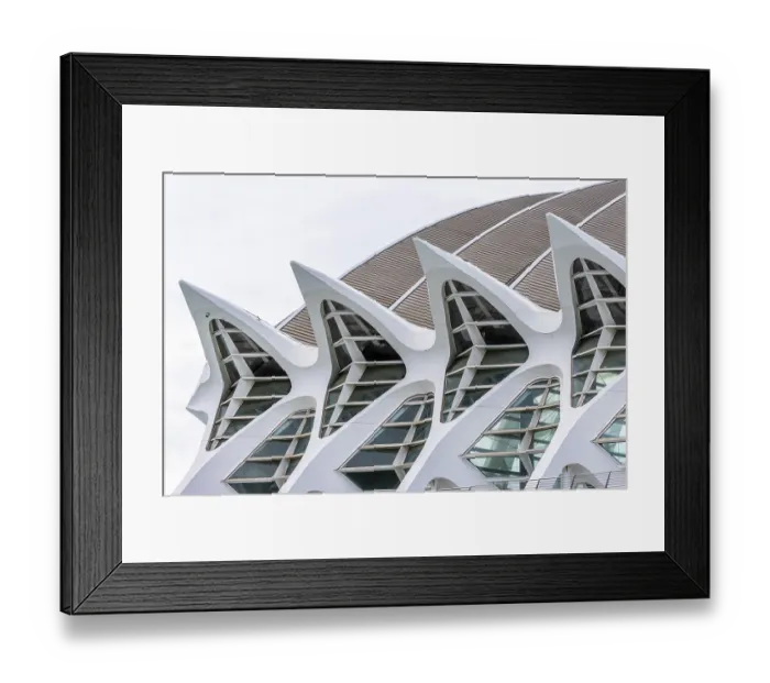 Framed Print : Detail white building of modern architecture science museum Prinz Philip (Museu de les Ciencies) Framed Print : Detail white building of modern architecture science museum Prinz Philip (Museu de les Ciencies)