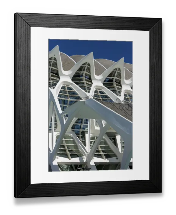 Framed Print : Detail of the roof of the white futuristic building of the science museum Prinz Philip (Museu de les Ciencies)