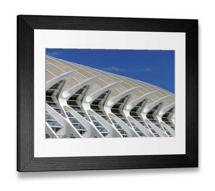 Framed Print : Detail of the roof of the white futuristic building of the science museum Prinz Philip (Museu de les Ciencies)