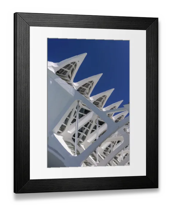 Framed Print : Detail of the roof of the white futuristic building of the science museum Prinz Philip (Museu de les Ciencies)