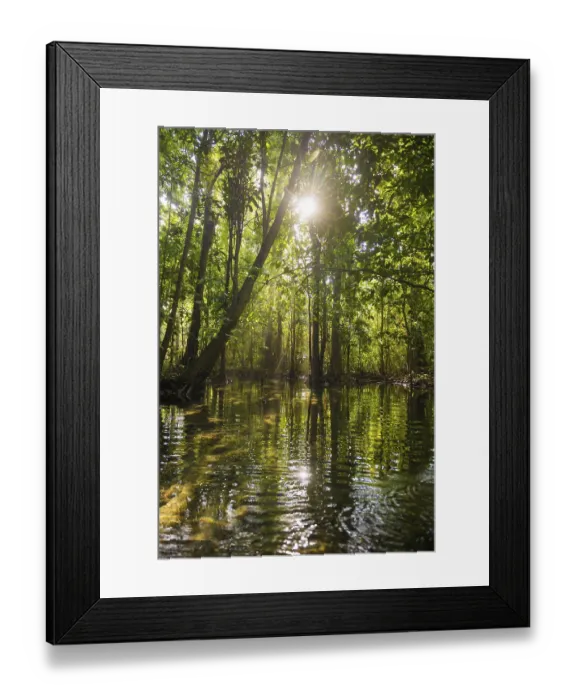Framed Print : Lagoon, Klong Rud, Klong Nam Sai