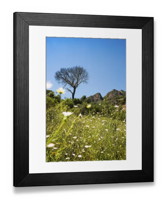 Framed Print : Rocher du roquebrune, Roquebrune-sur-Argens Framed Print : Rocher du roquebrune, Roquebrune-sur-Argens