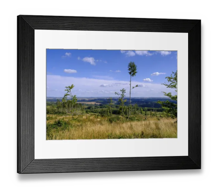Framed Print : View over the Harz Mountains, dead trees Framed Print : View over the Harz Mountains, dead trees
